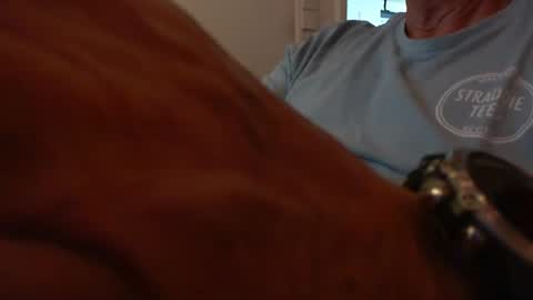 swiss_german_01 online show from October 28, 12:18 pm