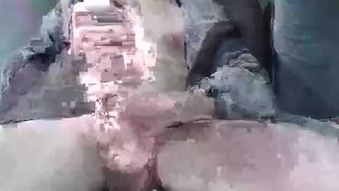 sybomec online show from March 25, 1:59 pm