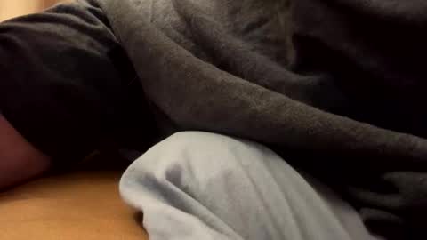 tRex online show from November 29, 2:24 am