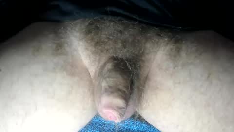 Snapshot of tacosize chatting on February 13, 3:35 pm mr taco online show from February 13, 3:35 pm