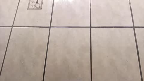 Snapshot of tall6feet7inch chatting on October 1, 9:02 am tall6feet7inch online show from October 1, 9:02 am