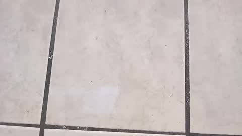 Snapshot of tall6feet7inch chatting on September 21, 7:58 pm tall6feet7inch online show from September 21, 7:58 pm