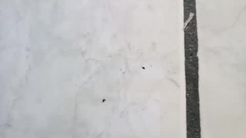 Snapshot of tall6feet7inch chatting on September 14, 11:45 am tall6feet7inch online show from September 14, 11:45 am