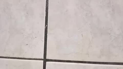 Snapshot of tall6feet7inch chatting on September 11, 9:41 am tall6feet7inch online show from September 11, 9:41 am