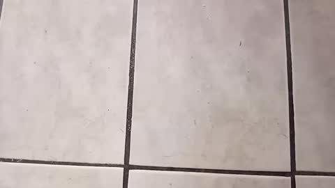 Snapshot of tall6feet7inch chatting on September 28, 7:56 pm tall6feet7inch online show from September 28, 7:56 pm