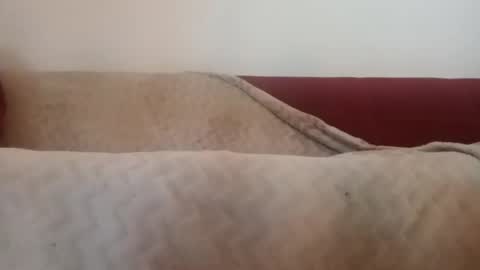 ass to fuck online show from January 6, 11:42 pm