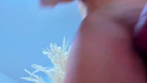 tayler_swift1 online show from February 13, 6:35 pm