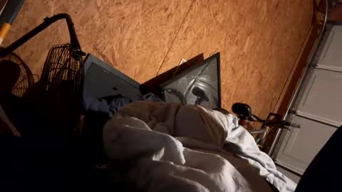 tazhardaway3435 online show from November 11, 11:37 am