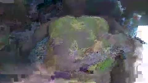 tbli996 online show from March 7, 5:55 pm