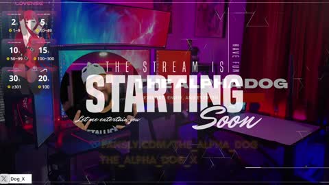 Snapshot of the_alpha_dog_xxx chatting on January 6, 2:48 am the_alpha_dog_xxx online show from January 6, 2:48 am