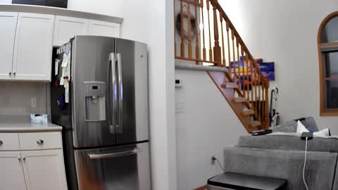 thegreat6268469 online show from December 3, 3:56 am