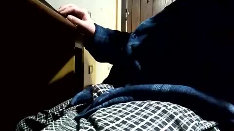 thisdixforyou online show from December 27, 9:39 am