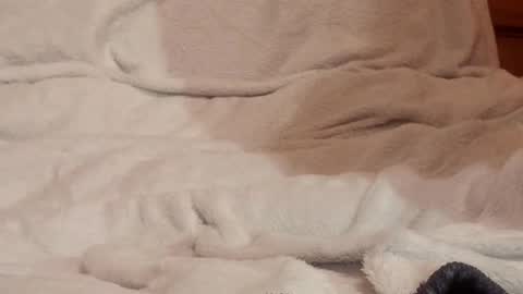 Thongsandstocking online show from March 9, 11:54 pm