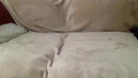 Tiburonbeach online show from February 27, 3:22 pm