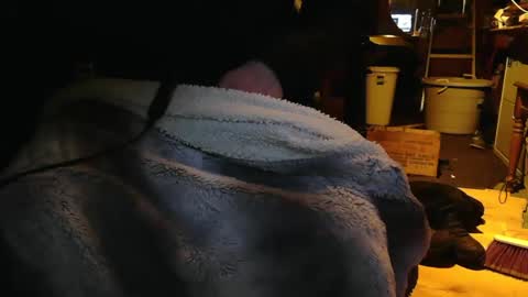 tinkertrain420 online show from December 2, 9:55 am