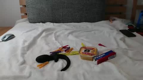 Snapshot of tiny_cock_pig chatting on February 21, 7:33 am Luke online show from February 21, 7:33 am