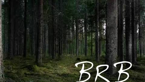 Tim online show from October 19, 7:06 pm