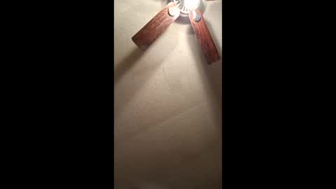 Vols online show from January 11, 1:26 pm