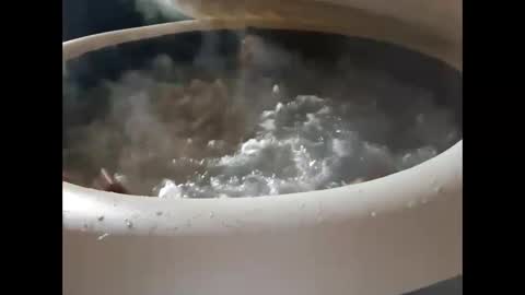 SagMeOreduceMe online show from March 21, 7:01 am