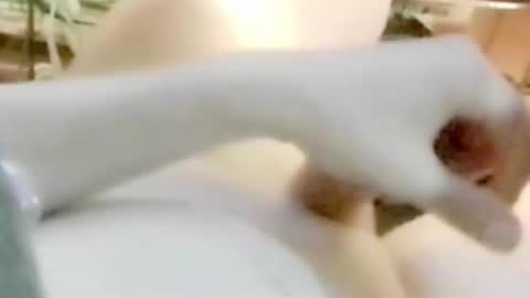 tornne online show from April 7, 1:05 am