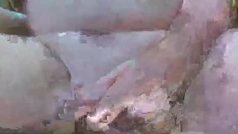 troy1965 online show from March 11, 6:32 am