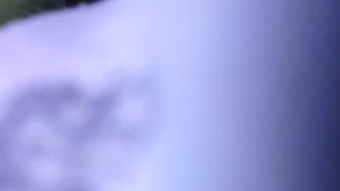 True Length online show from September 28, 12:14 pm