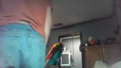 urls2025 online show from January 13, 8:08 am