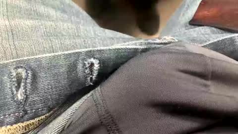 usabound online show from January 14, 12:37 am