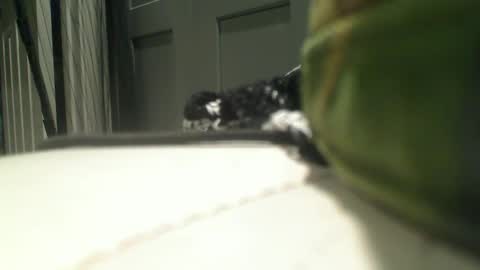 vegasmd online show from September 25, 8:24 am