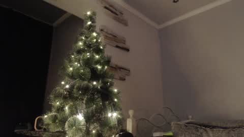 Snapshot of virgil____ chatting on December 15, 4:48 pm virgil____ online show from December 15, 4:48 pm