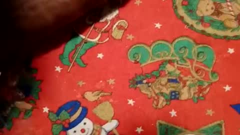 ghhhgh online show from December 11, 9:53 am