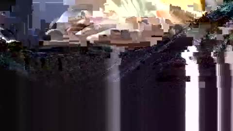 wanttowatch87 online show from February 12, 3:51 am