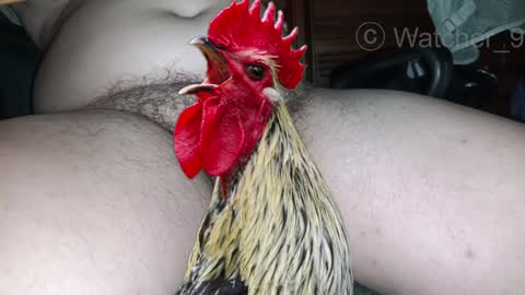 classified online show from December 24, 11:33 pm