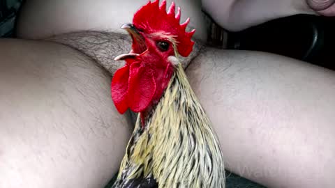 classified online show from October 4, 7:40 pm