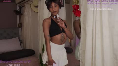 Wayuu Goddess  3 online show from March 10, 8:37 pm