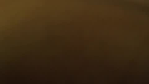 whatshelikesandloves online show from October 15, 10:01 am