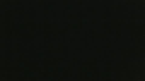 whitehead_lion online show from October 19, 1:03 pm