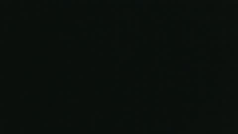 whitehead_lion online show from October 26, 5:59 pm