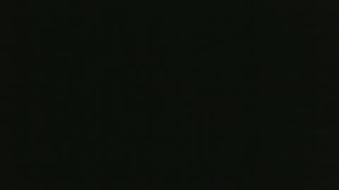 whitehead_lion online show from October 2, 9:52 pm