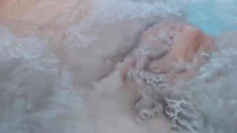 whiteoak19522 online show from May 4, 9:55 am