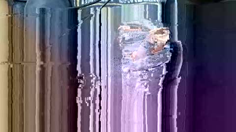 Wifewatching2 online show from March 26, 2:32 pm