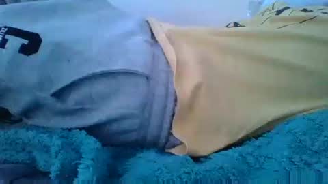 wild lemont online show from March 22, 8:02 am