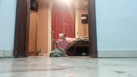 Snapshot of wilddope chatting on October 11, 11:42 pm the alpha man online show from October 11, 11:42 pm