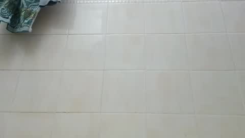 Snapshot of wilddope chatting on November 1, 2:04 am the alpha man online show from November 1, 2:04 am