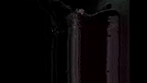 wildman2900 online show from December 29, 3:24 pm