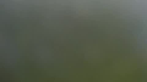 Wisa Randy online show from November 11, 6:02 pm