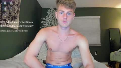 Wolfienov online show from February 14, 12:51 am