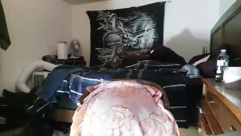 wolfman79 online show from February 10, 11:04 am