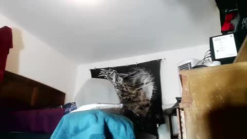 wolfman79 online show from November 8, 11:35 am