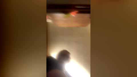 guido online show from March 13, 10:38 pm